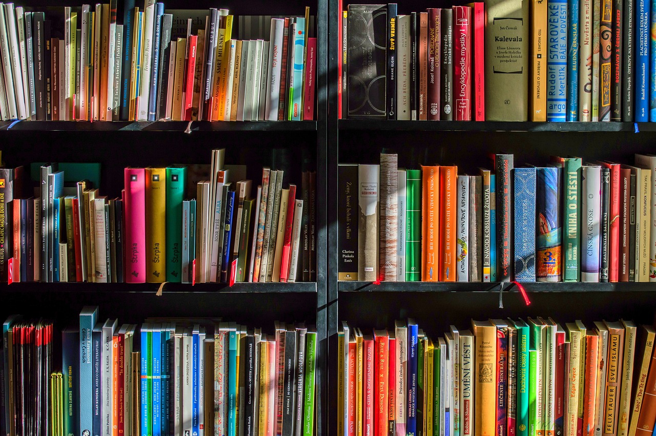Lee más sobre el artículo Cómo elegir ideas para novelas de manera creativa